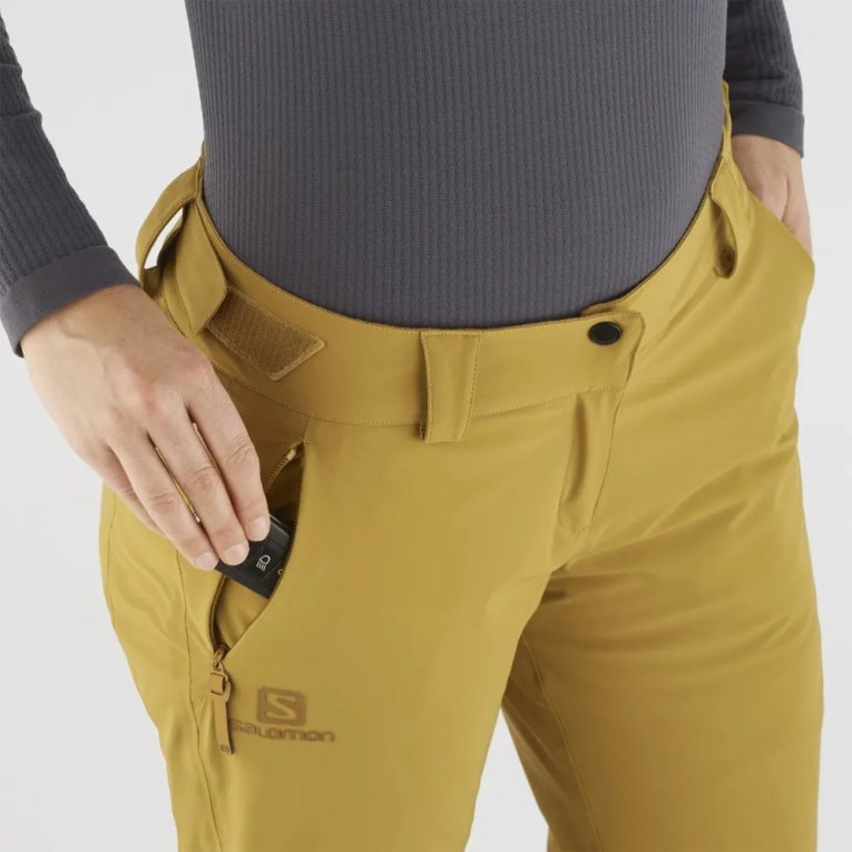 Brown Salomon The Brilliant Women's Ski Pants | IE SD8430